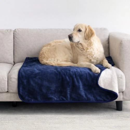 Oferta limitada: Dreamzie - Manta Impermeable Perro 80x100 cm - Manta Perros Reversible y Lavable - para Sofá y Cama - para Perro Pequeño - Sherpa - Azul Marino de 24.99 € a 21.24 € (ahorro 15%)