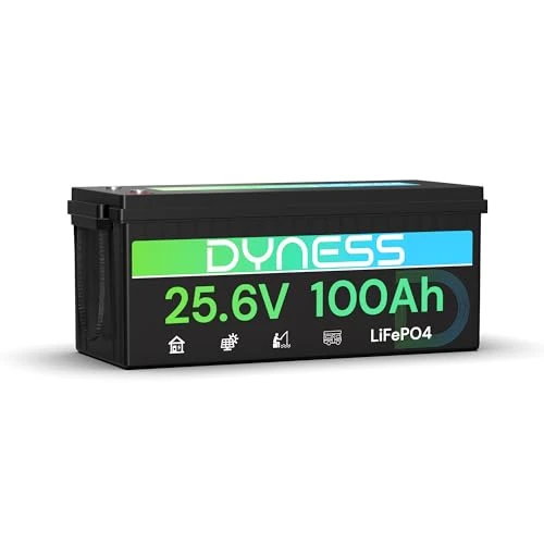 Offerta a tempo: Dyness Batteria al Litio LiFePO4 24V 100Ah con 100A BMS, Batteria Accumulo Fotovoltaico 20.48 kWh(Max.8 Batterie), Motore Elettrico per Pescherecci Elettrici, Camper, Pannelli Solari - 5% da 299.99 € a 284.99 €
