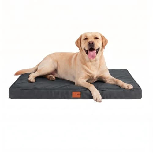 Tijdelijke aanbieding: WAVVE Hondenmand voor grote honden, orthopedisch, 104x69x7,6 cm, afneembaar, wasbaar, waterdicht, onverwoestbaar, hondenkussen van eierdoosvormig schuim, grijs van 39.99 € naar 39.99 € (0.00% korting)