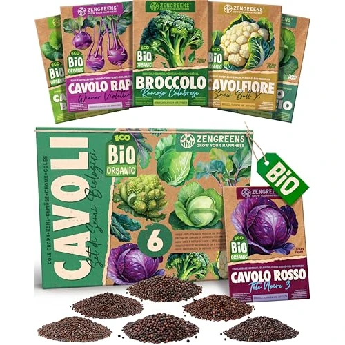 ZenGreens® - Set di Semi di Cavolo bio (6 pezzi) - 6 Semi di Cavolo per Coltivazione Facile in Giardino, Balcone o Serra - Semi da Piantare - Sementi