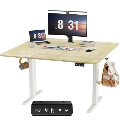 Raplink Scrivania Regolabile in Altezza 100 x 60 cm, Scrivania Regolabile in Altezza Elettrica,in Piedi,per Computer Regolabile,in Piedi, per Lavoro, Scrittura, Giochi, Bianco