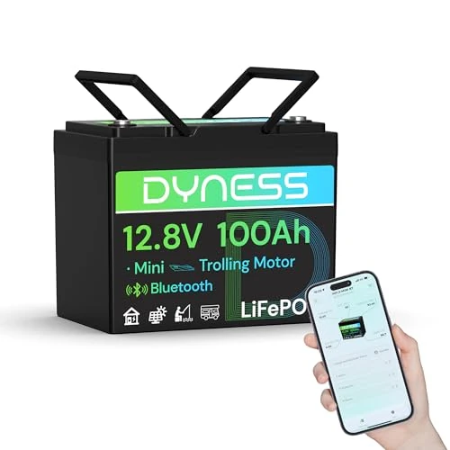 Dyness Batterie LiFePO4 12 V 100 Ah Bluetooth, Mini batterie au lithium avec BMS 100 A, protection à basse température, pour bateau, camping-car, systèmes solaires hors réseau