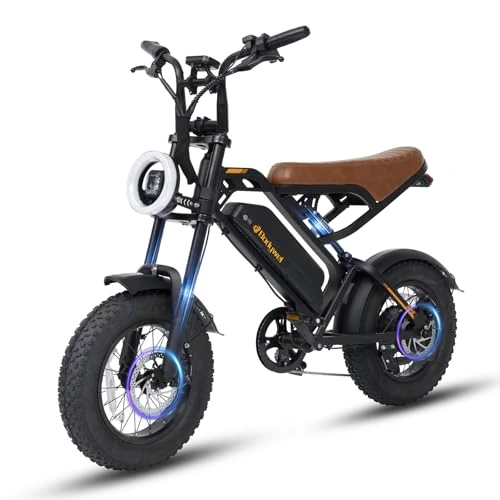 Bodywel Bicicleta eléctrica M16 para hombre y mujer, 16 x 4,0 pulgadas, All Terrain E, Fatbike City & Mountain, 48 V 13 Ah Akuu, motor de 250 W, alcance de 80 km (PAS), pantalla LCD, luces duales
