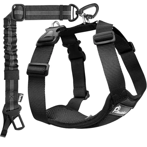 Offerta a tempo: Pawaboo Cintura di Sicurezza per Cani da Auto con Doppia Clip - 31% da 21.99 € a 15.08 €