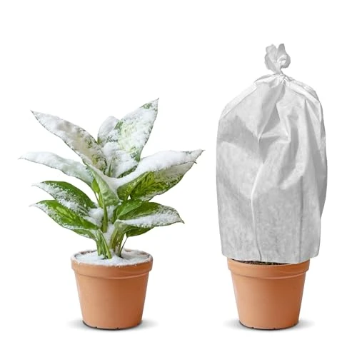 Offerta a tempo: GARDENIX Custodia Protettiva per Piante (0,8 m x 10 m, Misura Regolabile), Protezione Invernale per Piante, Protezione per Piante in Vaso, 50 g/㎡, Spessa Protezione per Piante Invernali, Protezione - 0.00% da 13.68 € a 13.68 €