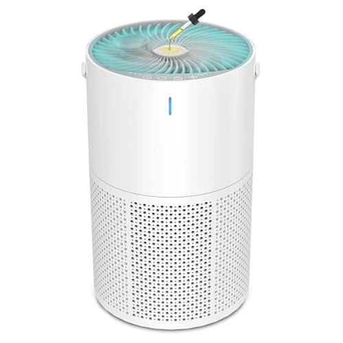 Offerta a tempo: Mapille Purificatore d'Aria con Filtro HEPA,Depuratore aria,Purificatore aria,Air purifier,Sensore Intelligente,con Spugna Aromatica,per Camera Letto,Bagno,Soggiorno - 45% da 39.99 € a 21.99 €