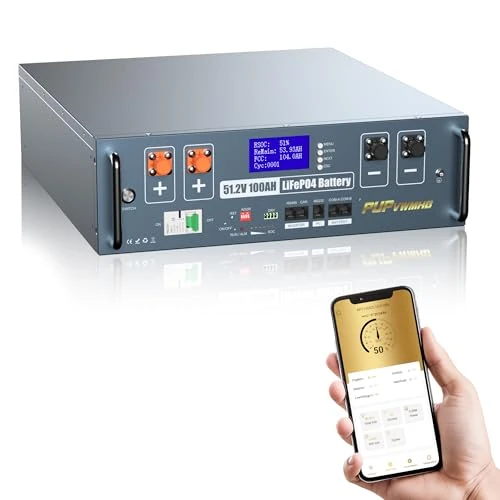 Offerta a tempo: Batteria LiFePO4 48V 100Ah (5120Wh) con BMS 100A, WiFi/Bluetooth, soppressione incendi automatica. Kit rack 3U incluso. Ideale per accumulo solare e backup domestico. - 7% da 779.00 € a 721.05 €