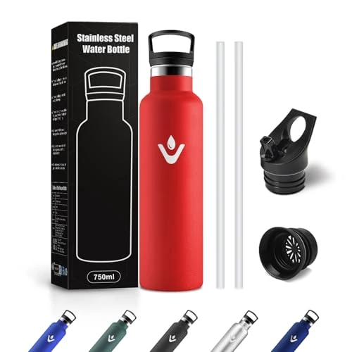 JAPORIA Stainless Steel Water Bottle, 750 ml, Water Bottle with Straw, BPA-Free, Leak-Proof, Suitable for Carbonated Drinks, for Yoga, School, Camping