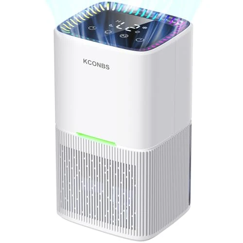 Luftentfeuchter zu Hause, 1,8 l, tragbarer kleiner Luftentfeuchter mit automatischer Abtauung/Abschaltung, farbige LED, Timer, LCD-Touchscreen, 615 ml/Tag, für Badezimmer, Schlafzimmer