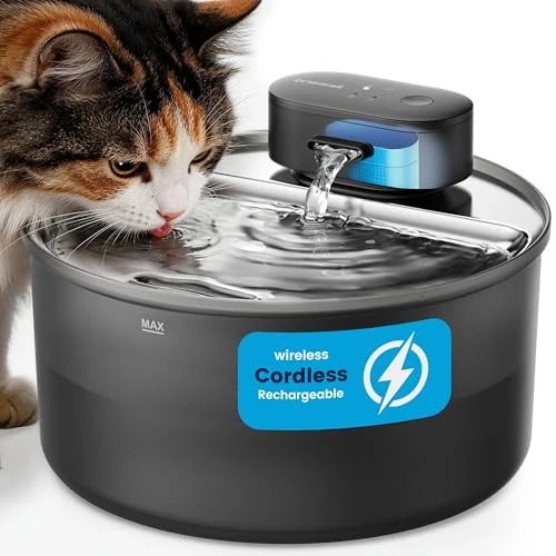 Limited-time offer: oneisall 3.2L Wireless Stainless Steel with ABS Fountain Body with 1 Filter from $49.99 to $14.99 (save 70.01%)