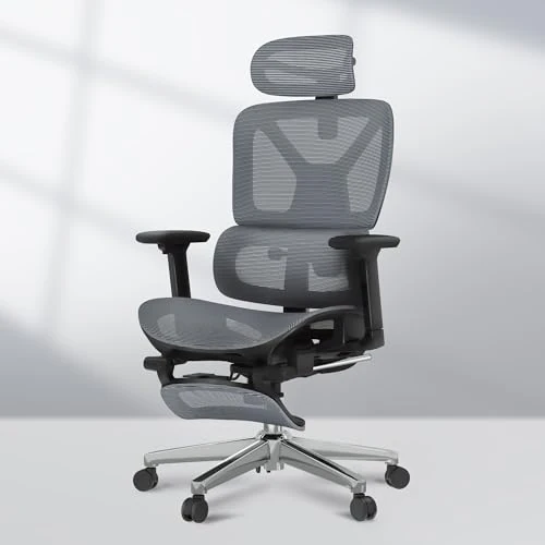 Offerta a tempo: FLEXISPOT ErgoX – Sedia ergonomica da ufficio in rete con poggiapiedi, poggiatesta 3D, supporto lombare, schienale 5D regolabile, braccioli 3D, seduta traspirante, ruote, 130 kg - 31% da 299.99 € a 207.56 €