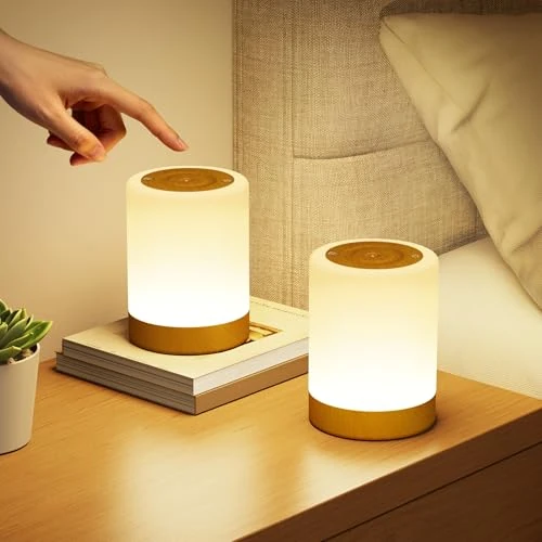Offerta a tempo: 2 Pezzi Lampada da Comodino Senza Fili Touch Dimmerabile, 5 Modalità 256 RGB e Blanco Cálido Luce Notturna Bambini Neonato, Lampade da Tavolo Ricaricabili USB con Timer, LED Lampada Camera da Letto - 5% da 29.49 € a 27.99 €