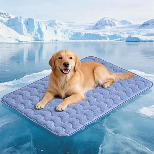 Offre limitée : APPKER tapis rafraîchissant pour chien, tapis rafraîchissant double face pour animaux de compagnie, 100 x 70 cm, fibre de refroidissement Arc-Chill & Q-MAX > 0,45, pour canapé et voiture, couverture de 41.62 € à 18.74 € (55% de remise)