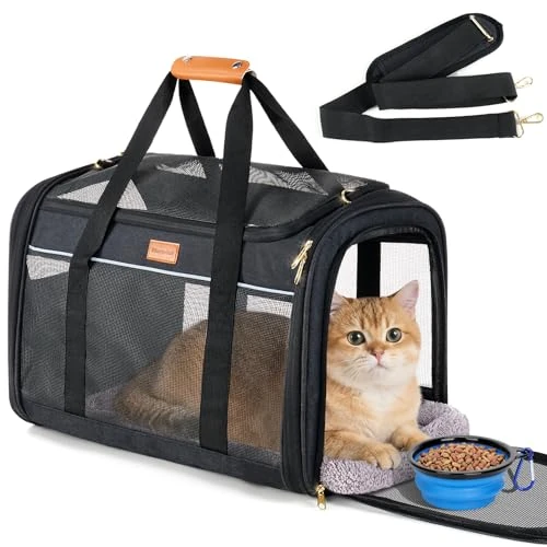 Offre limitée : Sac de Transport Morpilot pour Animaux, 51×33×33cm Sac Respirant avec Coussin Amovible, Sac Anti-déformation pour Chats et Petits Chiens, Idéal pour Voiture, Train et Vétérinaire de 39.99 € à 39.99 € (0.00% de remise)