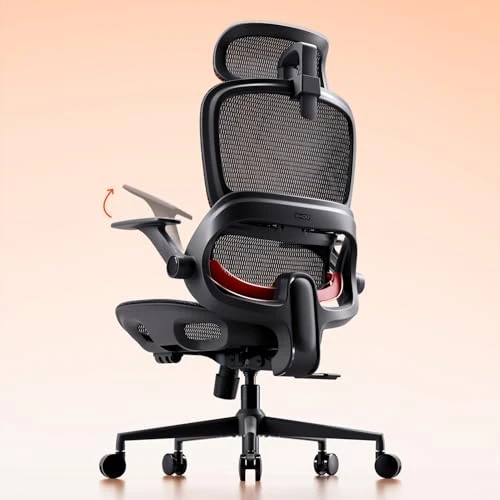 Offerta a tempo: SIHOO B100 Sedia da Ufficio Ergonomica, Sedia da Scrivania con Supporto Lombare Dinamico Adattivo, Sedia da Computer con Poggiatesta, Braccioli Pieghevoli, Inclinazione Regolabile 90-135°, Nero - 19% da 199.99 € a 161.49 €