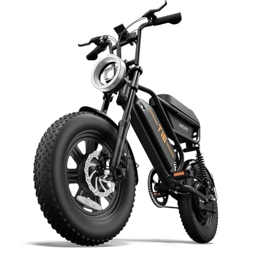 URLIFE Bicicletta Elettrica 16" x 3.0, Batteria Rimovibile da 48V 13Ah, Motore Brushless da 250W, Autonomia di 120km, Bici Elettrica con Doppia Sospensione, Scatola di Immagazzinaggio Ebike per Adulti