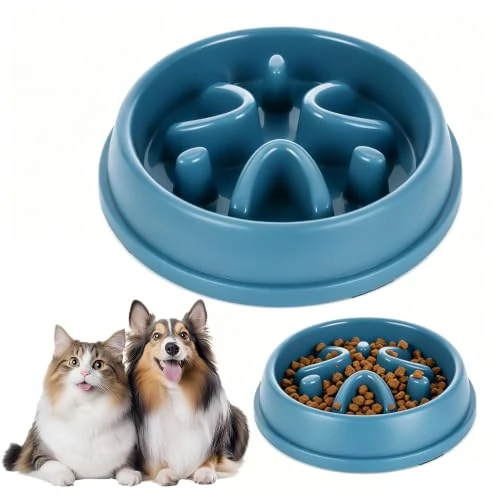 Offerta a tempo: Romon Ciotola Anti Ingozzamento, Blu Ciotola Anti Ingozzamento Gatto, Ciotola Per Cani Anti Ingozzamento con labirinto design divertente - per una digestione sana (21x4,5cm) - 0.00% da 8.99 € a 8.99 €