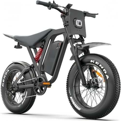 Offerta a tempo: DEEPOWER Bicicletta Elettrica da Trekking per Donna Uomo, 20 x 4 Grassi Pneumatici Ebike Con 52V 25Ah Batteria Rimovibile, 60-115KM Autonomia, con Cambio a 7 Marce, per Adulti - 6% da 899.00 € a 849.00 €