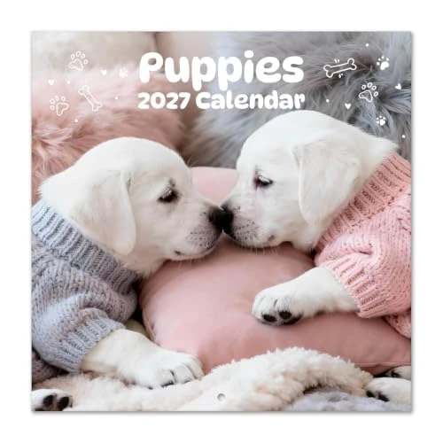 Oferta limitowana: Grupo Erik Puppies Wall Calendar 2027 UK - Dog Gifts, Cute Puppy Gifts z 38.95 zł na 38.95 zł (oszczędź 0.00%)