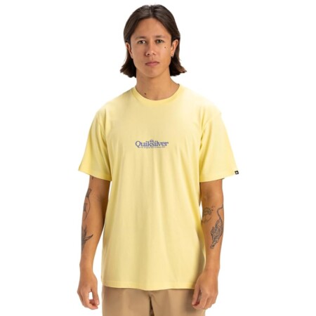 offerta a tempo: quiksilver fineline maglietta a maniche corte uomo — 29% da 20,00 € a 14,15 €