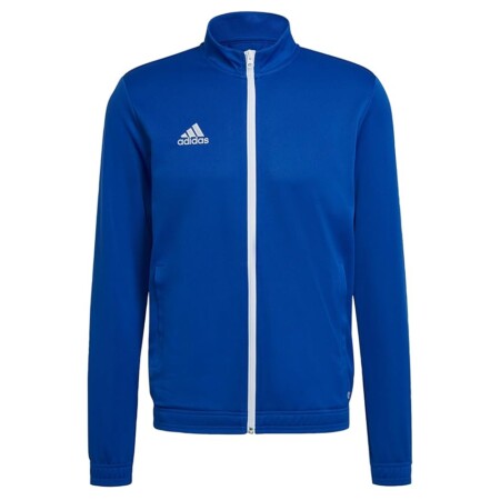offerta a tempo: adidas uomo entrada 22 track jacket, royal blue — 30% da 35,00 € a 24,50 €