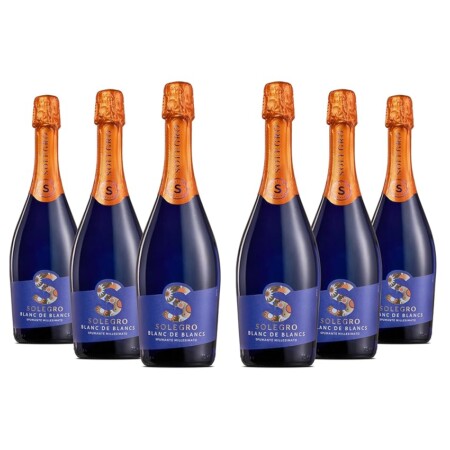 offerta a tempo: solegro spumante blanc de blancs millesimato extra dry 6 bottiglie da 750ml — 22% da 22,98 € a 17,92 €