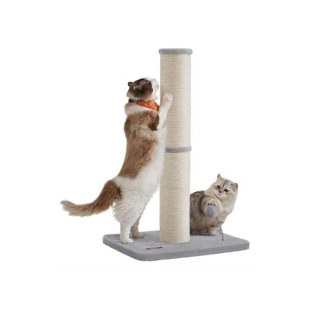 offerta a tempo: feandrea albero tiragraffi alto 85 cm colonna tiragraffi albero gatto tiragraffi per — 14% da 31,72 € a 27,30 €