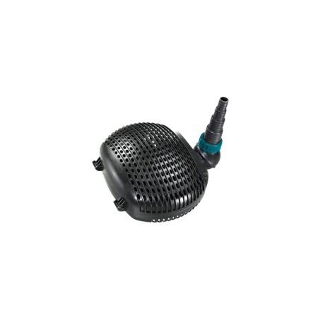 immagine amazon per asin