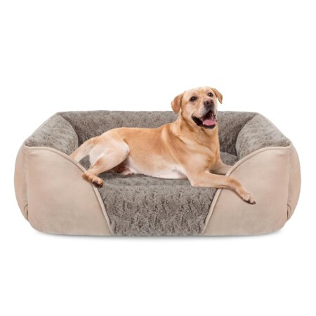 offerta a tempo: joejoy cuccia cane interno taglia media e grande, cuccia per cani lavabile — 10% da 33,99 € a 30,68 €