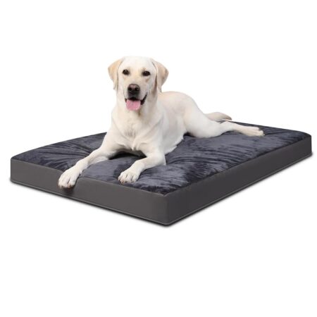 offerta a tempo: favodormir cuccia cane interno taglia grande sfoderabile e lavabile — 25% da 39,99 € a 29,98 €