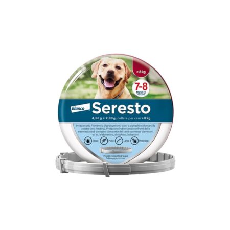 immagine amazon per asin