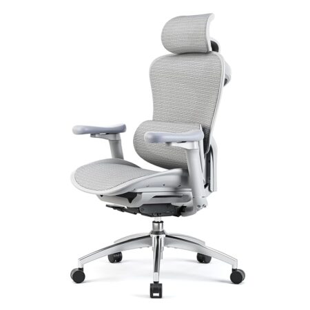 offerta a tempo: sihoo doro c300 sedia ergonomica ufficio braccioli 3d regolabili — 42% da 379,99 € a 219,98 €