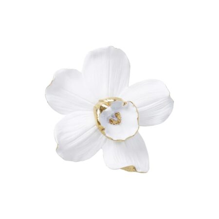 immagine amazon per asin