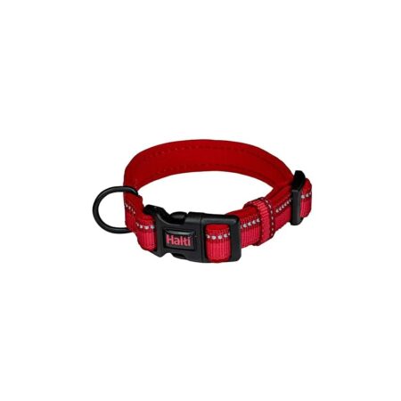 immagine amazon per asin