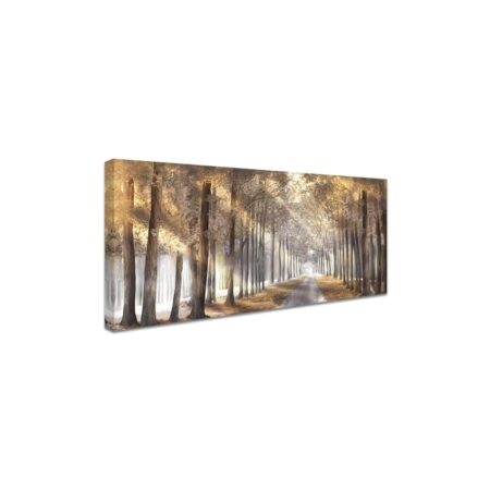 immagine amazon per asin