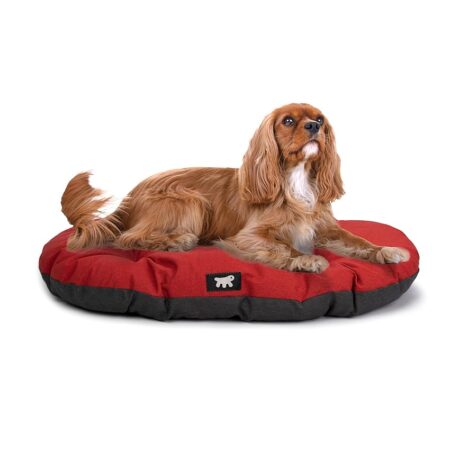 offerta a tempo: ferplast cuccia per cani — 57% da 27,90 € a 11,90 €
